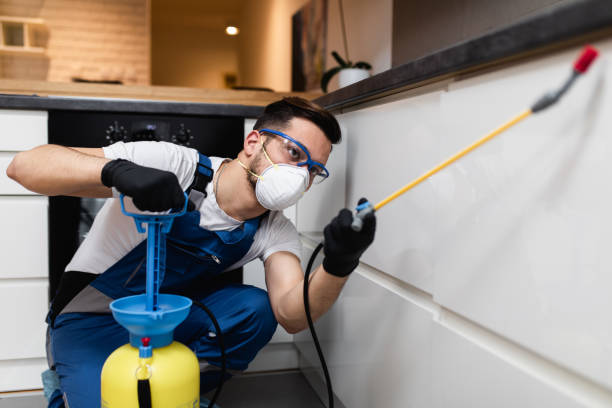 Best Pest Inspection Near Me  in Madison Center, CT