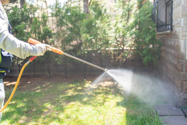 Best Local Pest Control Services  in Madison Center, CT