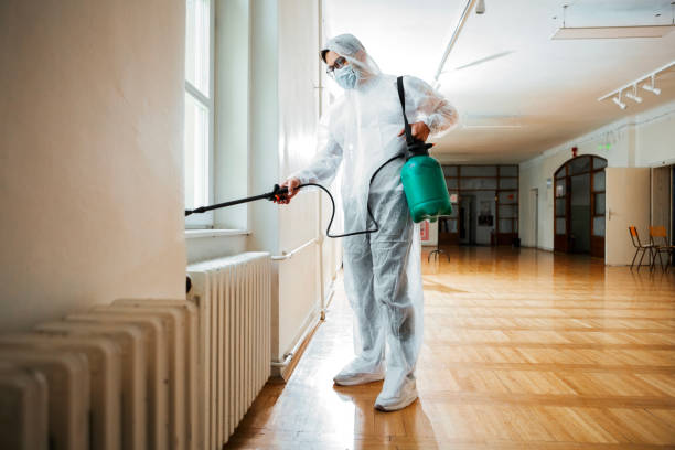 Reliable Madison Center, CT Pest Control Solutions