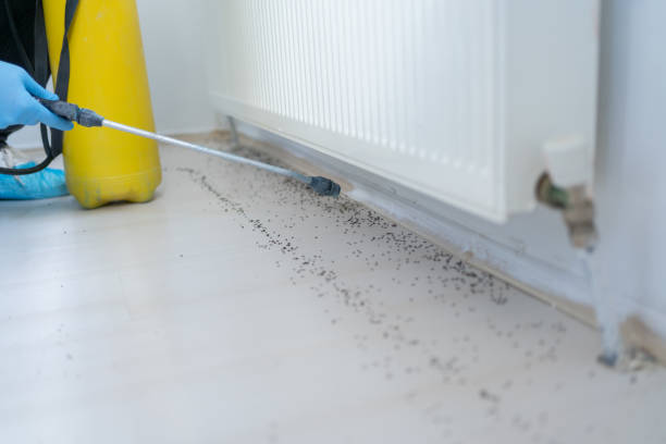 Best Pest Prevention Services  in Madison Center, CT